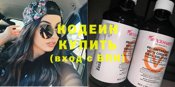 прущий лед Алзамай