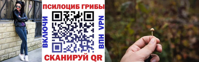 Псилоцибиновые грибы мухоморы  mega ССЫЛКА  Кемерово 
